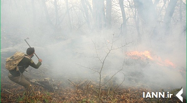 سوختن پنج هکتار از جنگل های بهشهر در آتش