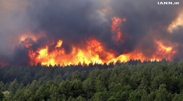 ۱۰ هکتار از جنگل‌های کجور نوشهر در آتش