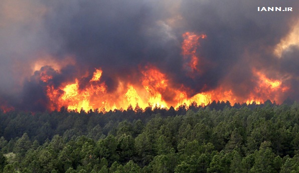 آخرین وضعیت آتش‌سوزی در جنگل‌های آمل