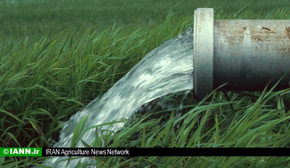 کشاورزی مازندران سالانه دومیلیارد و ۳۰۰ میلیون مترمکعب آب را می بلعد