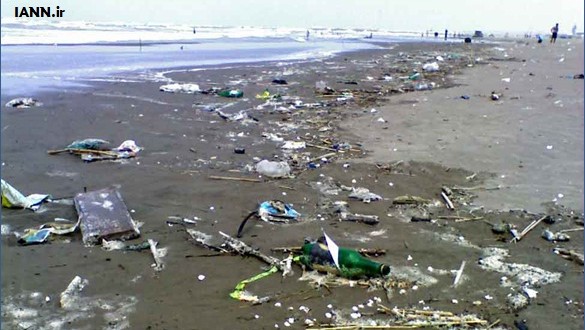 گزارش تصویری/ پاکسازی ساحل جزیره لارک