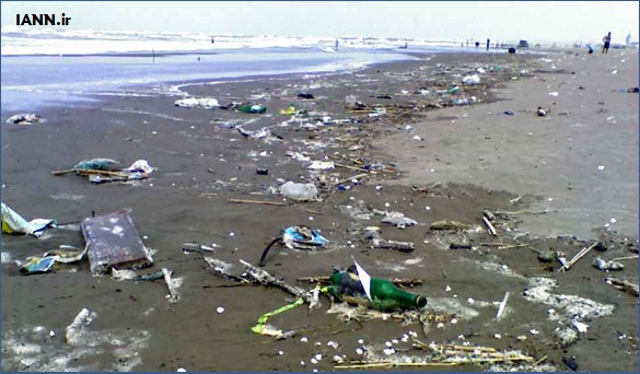 گزارش تصویری/ پاکسازی ساحل جزیره لارک