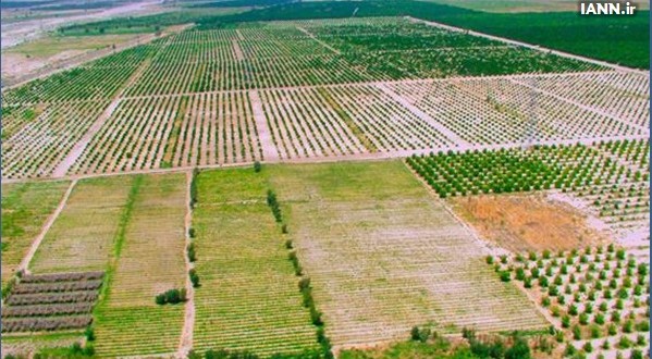 حدود چهار میلیون هکتار زمین کشاورزی در معرض تخریب است