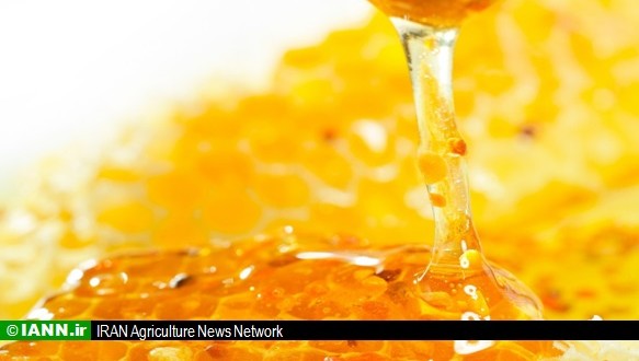درخواست چینی‌ها برای خرید ۵۰۰۰ تن عسل ایرانی