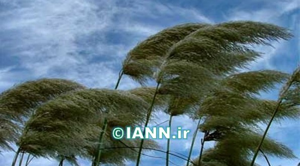 وزش باد با سرعت ۵۰ کیلومتر بر ساعت در تهران/ صدور اخطاریه سازمان هواشناسی
