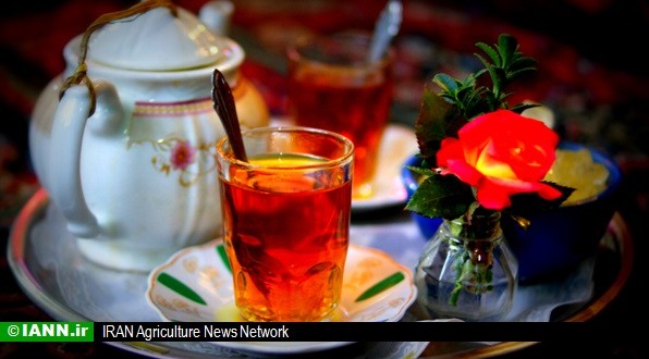 مردم با چای ایرانی آشتی کردند/ کاهش ۱۱ درصدی واردات چای خارجی
