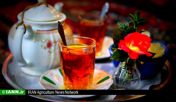 مردم با چای ایرانی آشتی کردند/ کاهش ۱۱ درصدی واردات چای خارجی