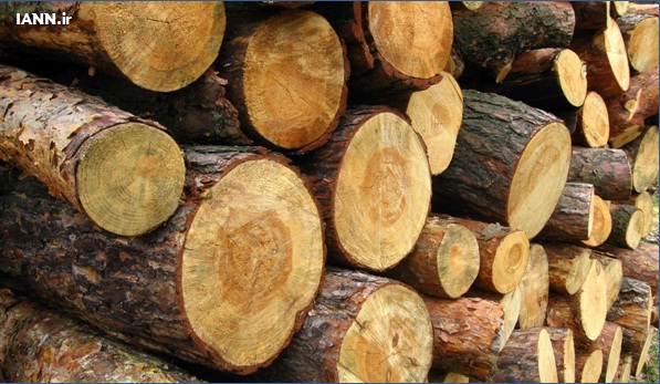 پیگیری جدی محیط زیست برای واردات چوب