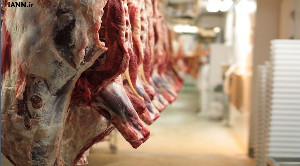 تولید سالانه ۴ هزار تن گوشت قرمز در شهرستان اقلید