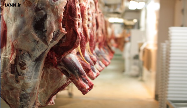 دلال بازی و افزایش تقاضا علت گرانی گوشت قرمز