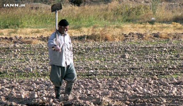 طرح بازنشستگی پیش از موعد ۱۰۰ هزار روستایی در انتظار تصویب شورای نگهبان