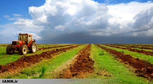 کشاورزی حفاظتی راهکاری برای توسعه پایدار است