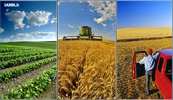 ویدئو/ افزایش تولیدات کشاورزی در خراسان شمالی