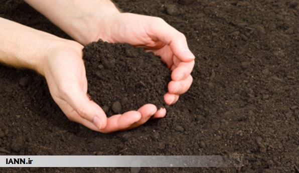 تصویب لایحه خاک از اقدامات ماندگار دولت یازدهم درحوزه محیط زیست است