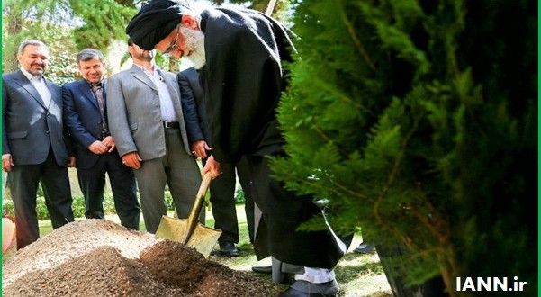 فیلم/ هر ایرانی یک درخت