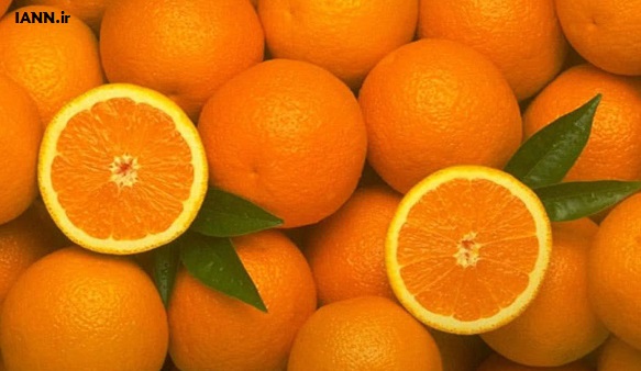 پیش بینی برداشت ۶۸ هزار تن پرتقال در فسا