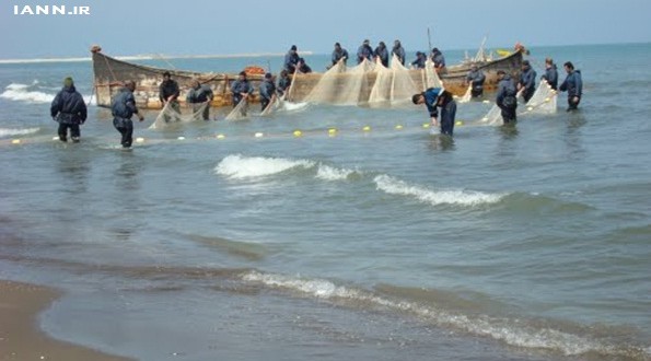 گزارش تصویری/ ماهیگیری در سواحل مازندران