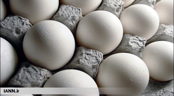 توزیع تخم مرغ به قیمت مصوب تنظیم بازار از امروز در سطح استان فارس
