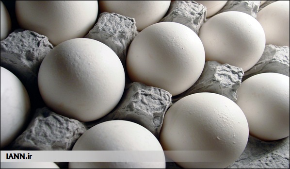 صادرات تخم‌مرغ رکورد زد/ صادرات به روسیه همچنان در ابهام