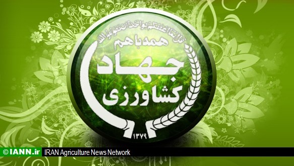 اعتراض برخی کارکنان وزارت جهاد کشاورزی به پائین بودن حقوق نسبت به سایر وزارتخانه‌ها