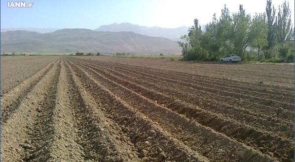 وضعیت زمینهای ایران برای کشاورزی/ چند درصد زمینها مطلوب نیستند