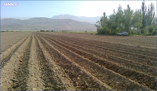 وضعیت زمینهای ایران برای کشاورزی/ چند درصد زمینها مطلوب نیستند