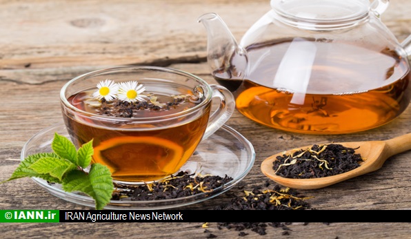 صادرات چهار هزار تن چای به کشورهای همسایه