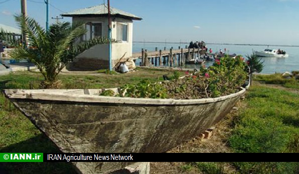 صوت/ تخت‌های نوروزی در مهمترین پناهگاه حیات وحش دریای مازندران