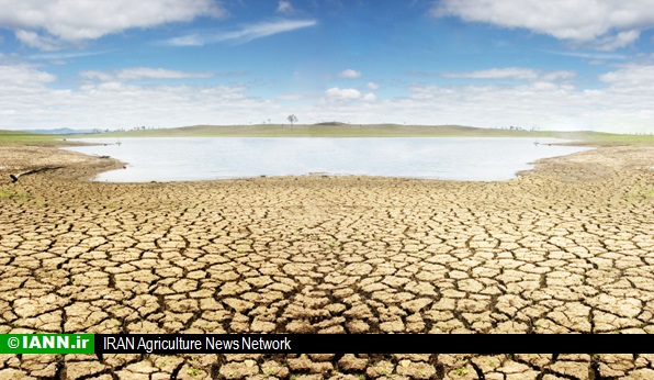 گزارش تصویری/ کمبود آب و خشکسالی در شالیزارهای مازندران