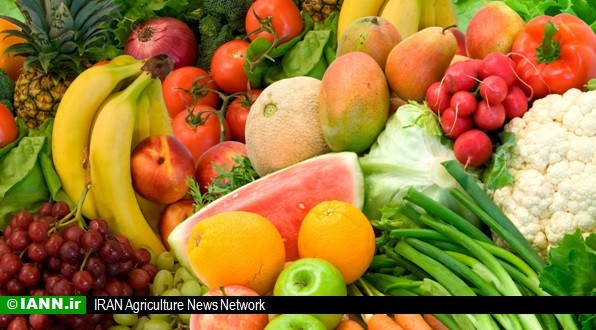 گزارش | تصدیگری وزارت صمت، عامل کندی صادرات محصولات کشاورزی