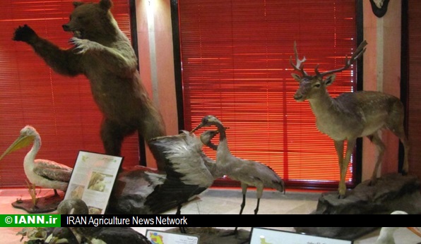 بازدید رایگان از موزه تنوع زیستی پارک طبیعت پردیسان به مناسبت روز جهانی حیات وحش