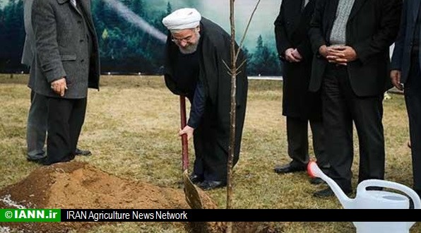 گزارش تصویری/ کاشت درخت صلح و دوستی بین ایران و ژاپن