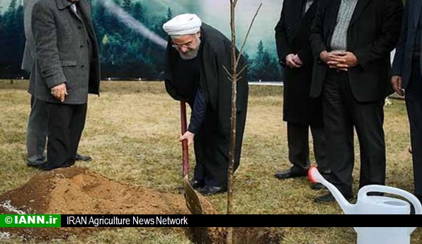 کاشت درخت توسط رئیس جمهوری در رشت
