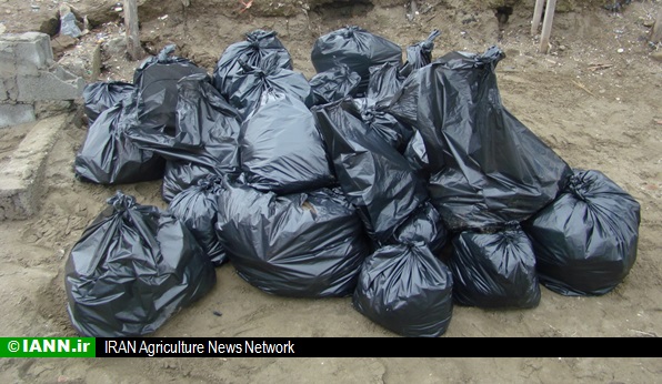 توزیع بیش از ۳ تن کیسه جمع آوری زباله در روز طبیعت