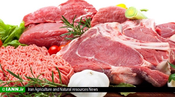 استاف: گوشت نیوزیلندی طی ماه های آینده وارد ایران می شود