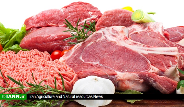 احتمال واردات گوشت گوزن و گاو روسی به ایران