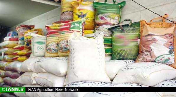 حجتی: واردات برنج از پایان تیر ممنوع است/تولیدبیش از۳۰هزارتن چای خشک