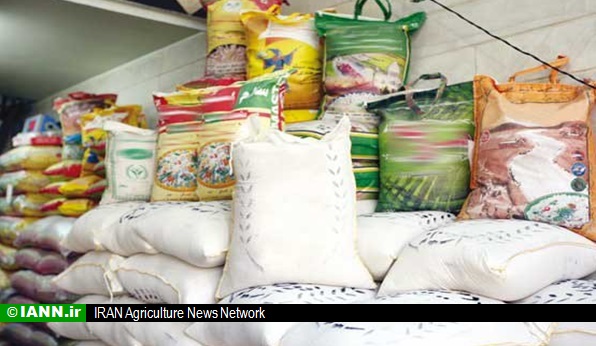 حجتی: واردات برنج از پایان تیر ممنوع است/تولیدبیش از۳۰هزارتن چای خشک