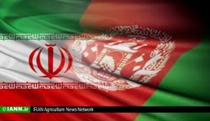 hamkari_iran_afghanestan_dojanebe