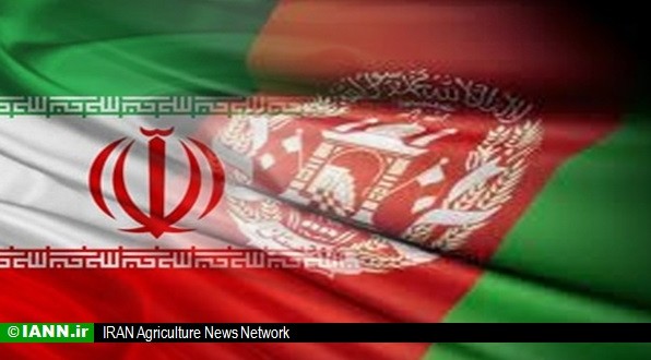 ابتکار: کارگروه مشترک ایران و افغانستان برای نجات هامون تشکیل می شود
