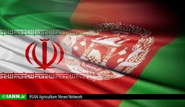 ابتکار: کارگروه مشترک ایران و افغانستان برای نجات هامون تشکیل می شود