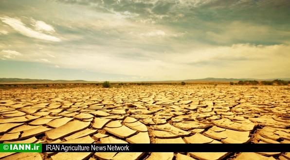 رییس موسسه تحقیقات کشاورزی: ایران با بحران کم آبی روبه رو است