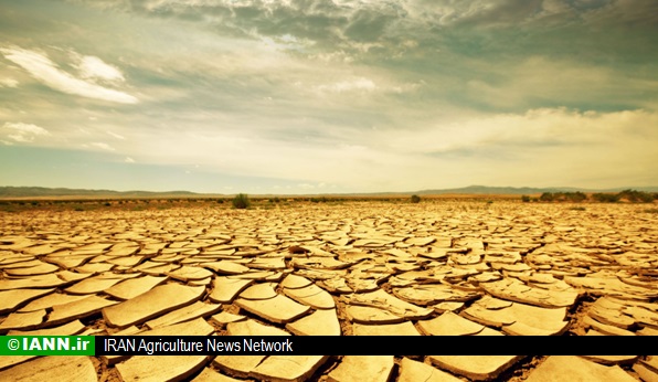 رییس موسسه تحقیقات کشاورزی: ایران با بحران کم آبی روبه رو است