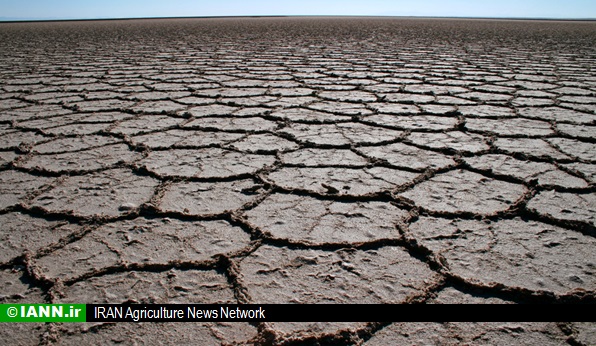 سرطان زمین بر اثر خشکیدن آبخوان‌ها/ ۴ روش کاهش مصرف آب در کشاورزی