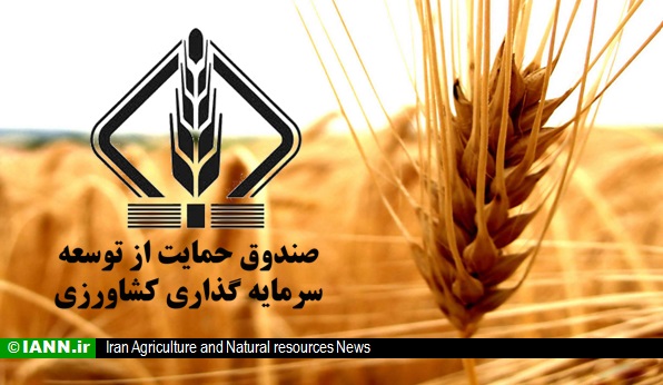 فعالیت صندوق های کشاورزی فارس با ۸۵۰ میلیارد ریال سرمایه