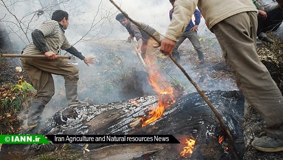 ۲۶۹۰ متر از اراضی منطقه حفاظت شده میانجنگل فسا در آتش سوخت