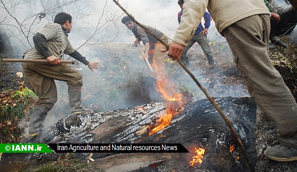 مهار آتش در جنگل معمولان لرستان پس از ۱۳ ساعت