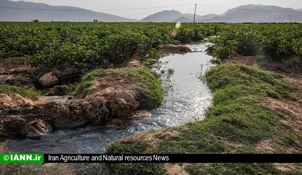منابع آب کشاورزی مدیریت نمی‌شود