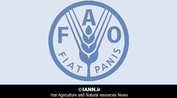 فائو بر نیاز به استراتژی هماهنگ ایمنی غذا و تغذیه در ایران تاکید کرد