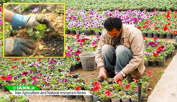 گزارش تصویری/ چهارمین نمایشگاه گل و گیاه در قزوین